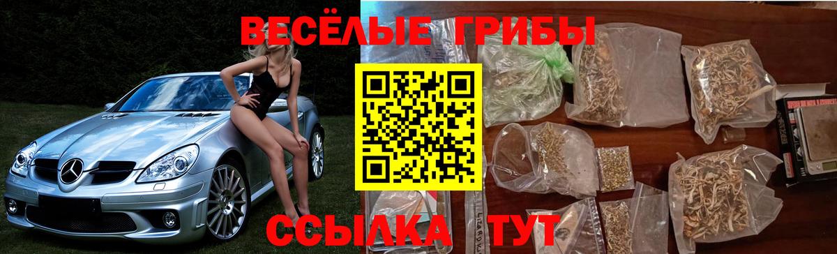 Галлюциногенные грибы GOLDEN TEACHER  Вход с VPN  Сергиев Посад 